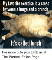 Lunch Menu