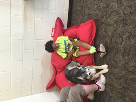 Read to a Dog 🐶