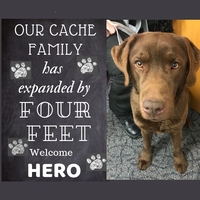 Cache Family Expanded by 4 Feet